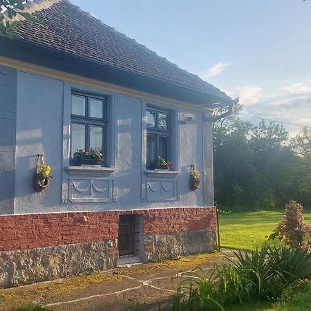 Apartmani Petkovic 226 Velika Drenova Exterior foto
