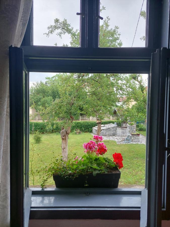 Apartmani Petkovic 226 Velika Drenova Exterior foto