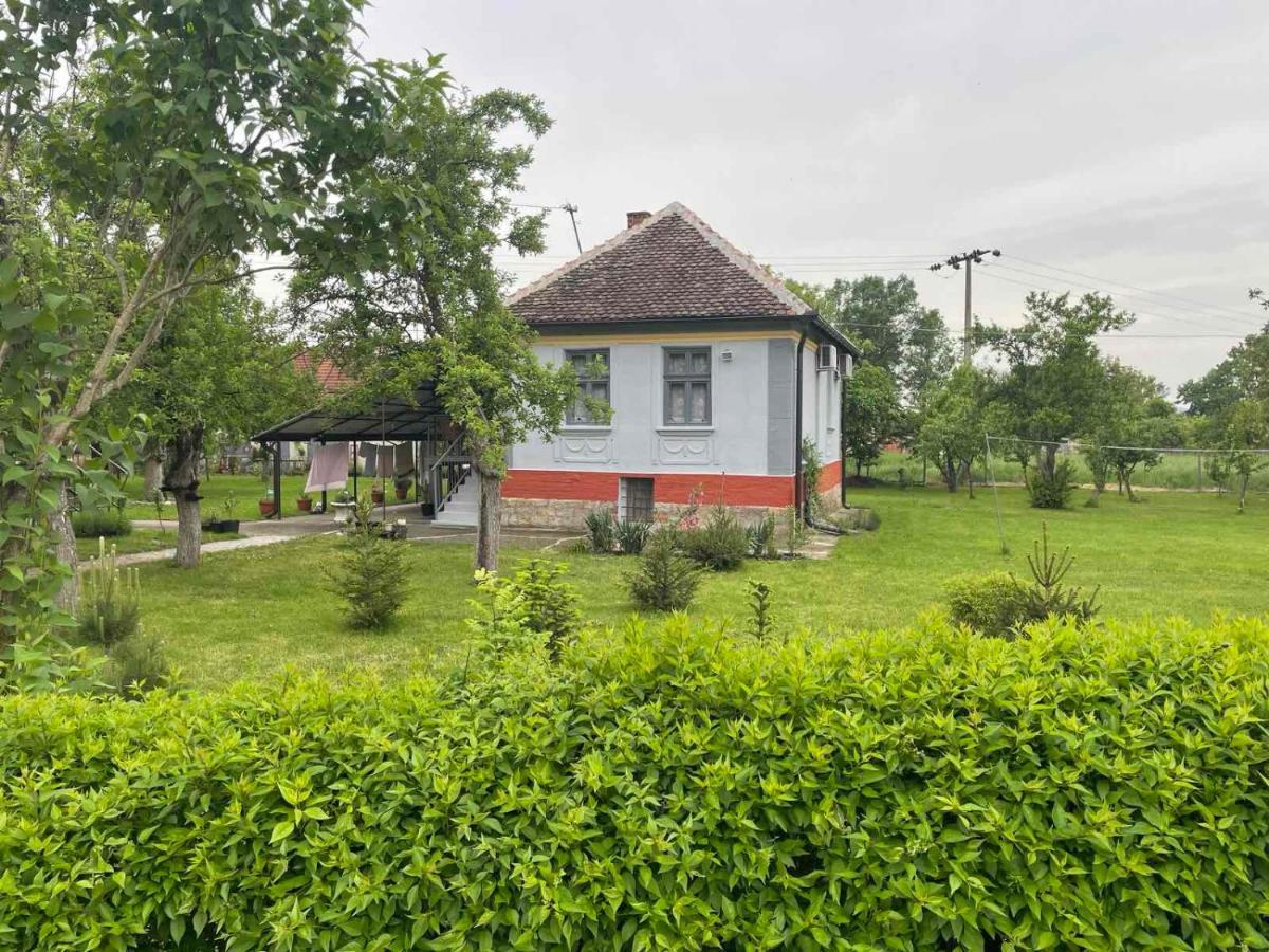 Apartmani Petkovic 226 Velika Drenova Exterior foto